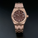 Đồng hồ cơ nam Alexander Ferros 3062