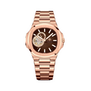 Đồng hồ cơ nam Alexander Ferros 6012