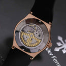 Đồng hồ cơ nam Alexander Ferros 6161