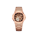 Đồng hồ cơ nam Alexander Ferros 6312