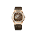 Đồng hồ cơ Carnival 8128G