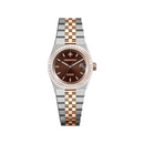 Đồng hồ cơ nam Alexander Ferros 8181