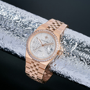 Đồng hồ cơ nam Alexander Ferros 8181