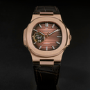 Đồng hồ cơ nam Alexander Ferros 6102R