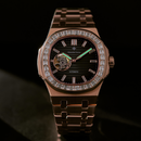 Đồng hồ cơ nam Alexander Ferros 6091R