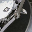 Đồng hồ cơ nam Alexander Ferros 8132