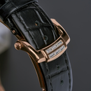 Đồng hồ cơ nam Alexander Ferros 6091R