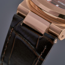 Đồng hồ cơ nam Alexander Ferros 6102R