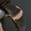 Đồng hồ cơ nam Alexander Ferros 6102R