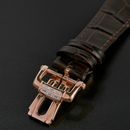 Đồng hồ cơ nam Alexander Ferros 6091R