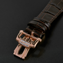 Đồng hồ cơ nam Alexander Ferros 6091R