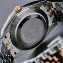 Đồng hồ cơ nam Alexander Ferros 8032D