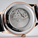 Đồng hồ cơ I&W Carnival Charm Artistic Taste IW523G