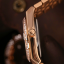 Đồng hồ cơ nam Alexander Ferros 8181