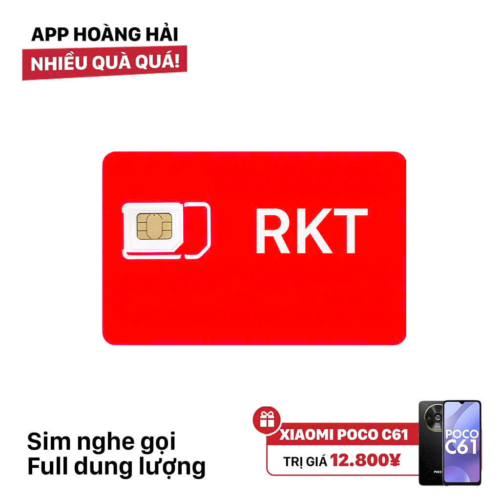 Rakuten SIM card with full data capacity costs 3,300 yen 