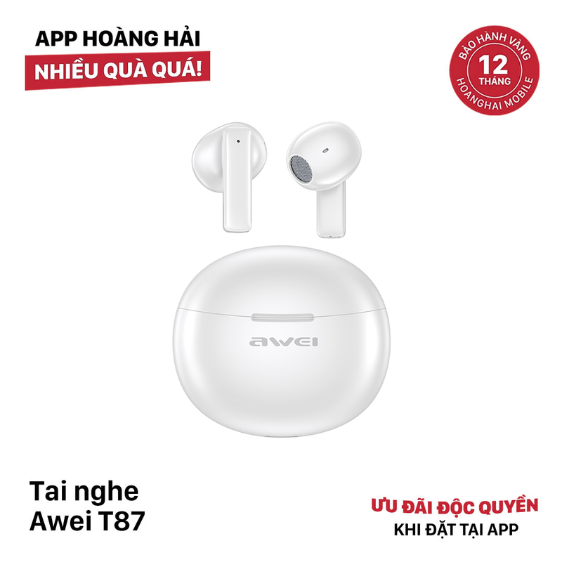 AWEI T87 Headphones 