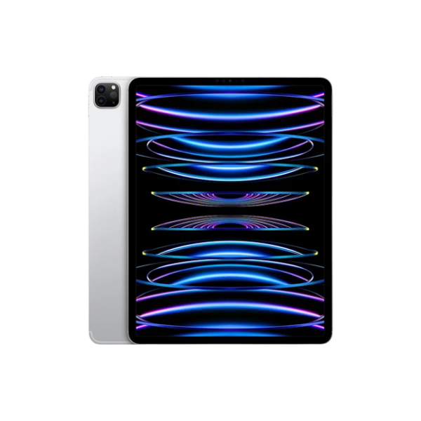 iPad Pro M2 2022 CPO 11in Wifi International from Apple Store 