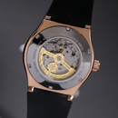 Đồng hồ cơ nam Alexander Ferros 6161