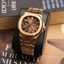 Đồng hồ cơ nam Alexander Ferros 6102R