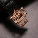 Đồng hồ cơ nam Alexander Ferros 6091R