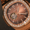 Đồng hồ cơ nam Alexander Ferros 6091R