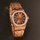 Đồng hồ cơ nam Alexander Ferros 6091R