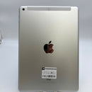 iPad Gen 5 9.7" 32GB Silver 4G + Wifi 98% pin 91% Từ DCM (nứt miếng nhựa mặt lưng, chỉ DCM)