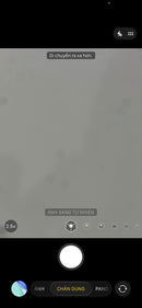 iPhone 12 Pro Max 256GB Silver 98% pin 100% Máy đã trả hết tiền mạng dùng như Quốc tế Apple (Đã thay pin - Có trầy - đốm 2.5x) - HH7192